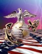 Marine Corp Pin Gif